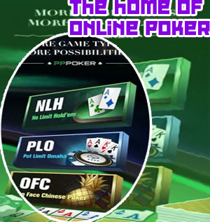 Play wpt poker free